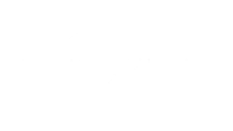 Streaming service icon 9